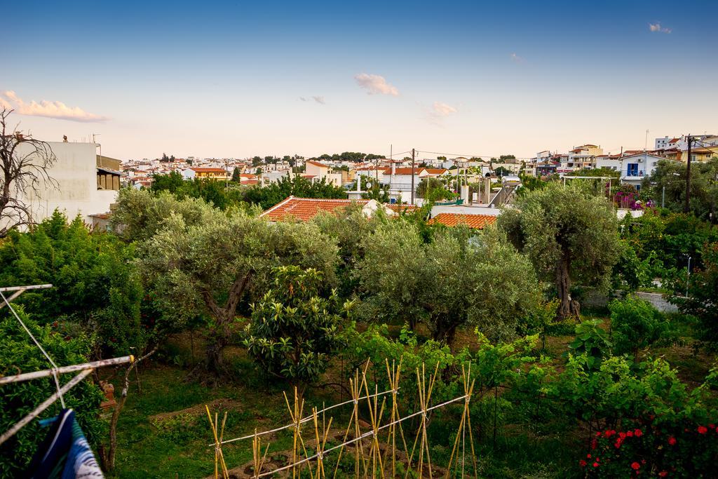 Act Art Skiathos Zewnętrze zdjęcie